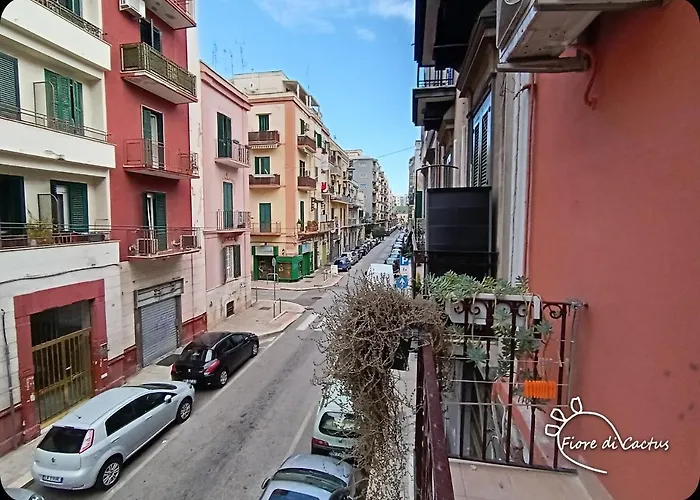 Fiore Di Cactus * Bari